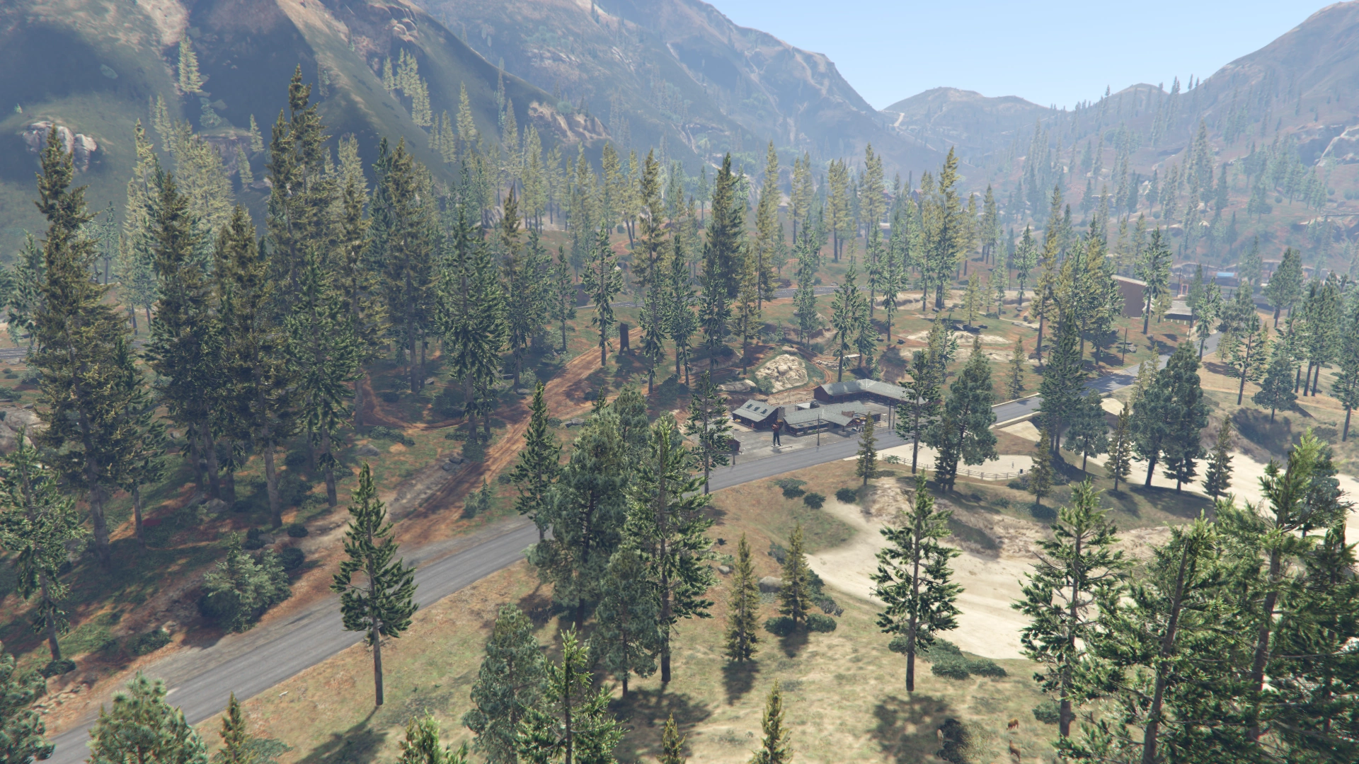 Paleto Forest